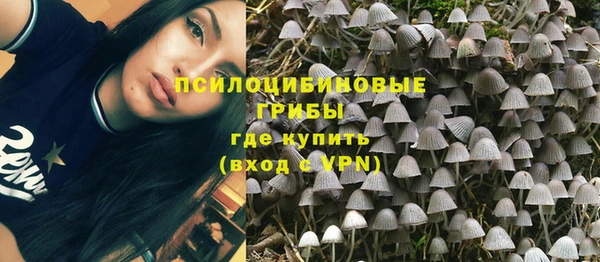 spice Балабаново